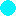 Teal Circle favicon