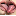 lips.com favicon