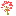 Bahar charity organization favicon