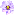 flower lila favicon