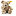 TeddyBear favicon