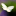 butterfly favicon