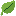 leaf_icon favicon