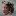 Rosemaryandgarlic favicon