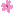 sakura favicon