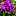 Rhododendron favicon