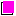 Magenta Square  favicon