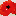 Red Poppy favicon