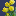 flowers favicon