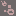 Rock Stepper-16x16 favicon