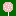 *starbucks-cakepop* favicon