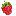 raspberry favicon