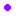 circle favicon