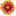 Blanket Flower Fav favicon