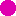 flordle favicon