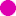 flordle favicon