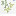 herbe favicon