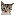 muckey2 favicon