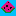 watermelon favicon