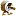 Pheasant favicon