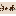 horse favicon